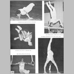 130-Gymnastics.jpg