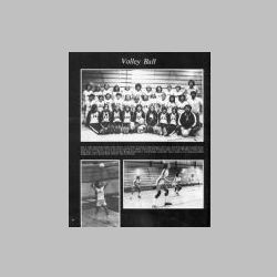 050-79CLMBN-VolleyBall.jpg